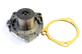 Pompa apa FIAT SEDICI (FY) (2006 - 2016) THERMOTEC D1F073TT