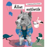 &Aacute;llat sz&uuml;letik - Katy Kimbell