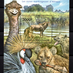 TOGO 2011, Fauna, serie neuzata, MNH