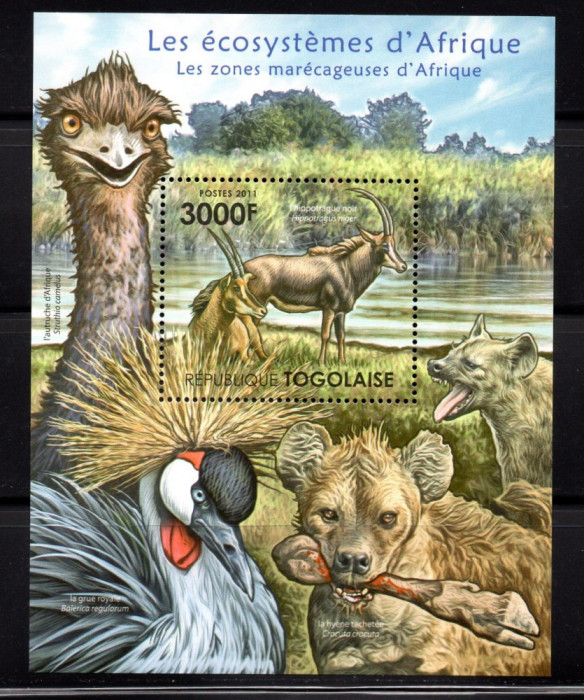 TOGO 2011, Fauna, serie neuzata, MNH