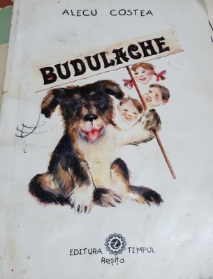 BUDULACHE ALECU COSTEA foto
