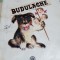 BUDULACHE ALECU COSTEA