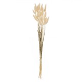 Ramuri Decorative Artificiale, Model Bunny Tails, Culoare Crem, 60cm, Set 25 Bucăți, Oem