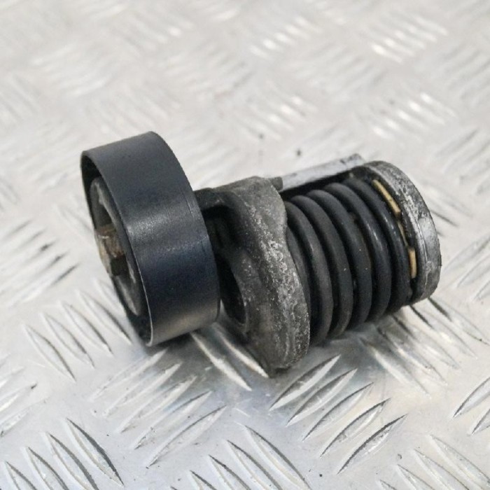 &Icirc;ntinzător de curea VW PASSAT B6 3C2 2009 OEM: 038903315AH | 2695102