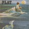 PAMANTUL PLAT. ROMANUL UNUI VIS-VASILE BARAN-245382