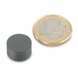 Magnet ferita disc &Oslash;14&amp;#215;8 mm, putere 450 g, Y30