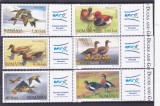 ROMANIA 2007 LP 1771 a RATE SI GASTE SALBATICE SERIE CU VINIETA DREAPTA MNH, Fauna, Nestampilat