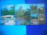 HOPCT LOT 2767 -IP--LIPOVA -JUD ARAD -3 CARTI POSTALE-CIRCULATE, Circulata, Printata