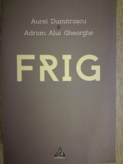 Frig, Aurel Dumitrascu &amp;amp; Adrian Alui Gheorghe, Epistolar (1978 - 1990), 516 pag foto