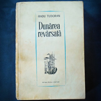 DUNAREA REVARSATA - RADU TUDORAN foto