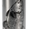 Termos KORUM Classic Thermal Flask Tench 500ml