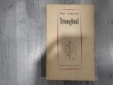 Triunghiul de Pop Simion