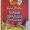 MAGIA COPACULUI DEPARTARILOR , SERIA &#039; COPACUL DEPARTARILOR de ENID BLYTON , ilustratii de JAN McCAFFERTY , 2015