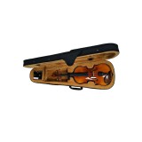 Cumpara ieftin Set vioara 1 4 Longocampo Violins