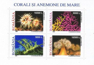 Romania, LP 1577a/2002, Corali si anemome de mare, bloc de 4 marci, MNH foto