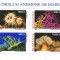 Romania, LP 1577a/2002, Corali si anemome de mare, bloc de 4 marci, MNH