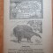 revista progresul stiintei 23 februarie 1919 - anul 1,nr.4 -charles darwin