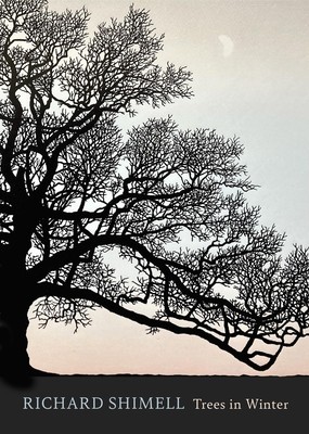 Trees in Winter foto