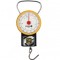 Cantar de mana Vorel 15301, maxim 35 Kg, analog