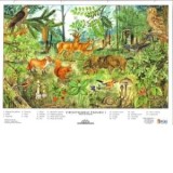 Vietuitoarele padurii - plansa didactica A4