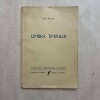 Ion Pillat - Umbra timpului