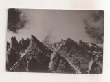 RF205 - Carte Postala - Muntii Bucegi. Coltii Morarului, circulata