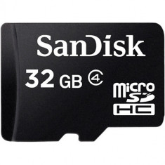 SanDisk Micro SDHC Card 32GB foto