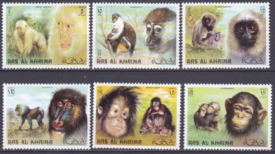 DB1 Fauna Ras al Khaima Maimute 6 v. MNH foto