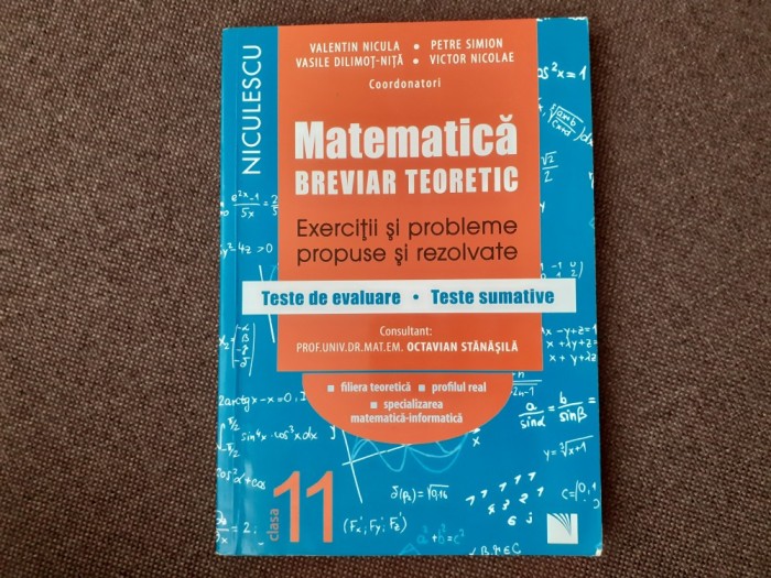 MATEMATICA CLASA A XI A EXERCITII SI PROBLEME REZOLVATE TESTE DE EVALUARE V NICULA