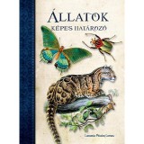&Aacute;llatok - K&eacute;pes hat&aacute;roz&oacute; - Lamas