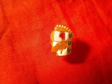 Insigna Argentina - Eva Peron si J.Domingo Peron , anii &#039;50 ,metal si email , h=1,7cm