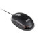 Mouse optic little wonder usb intex