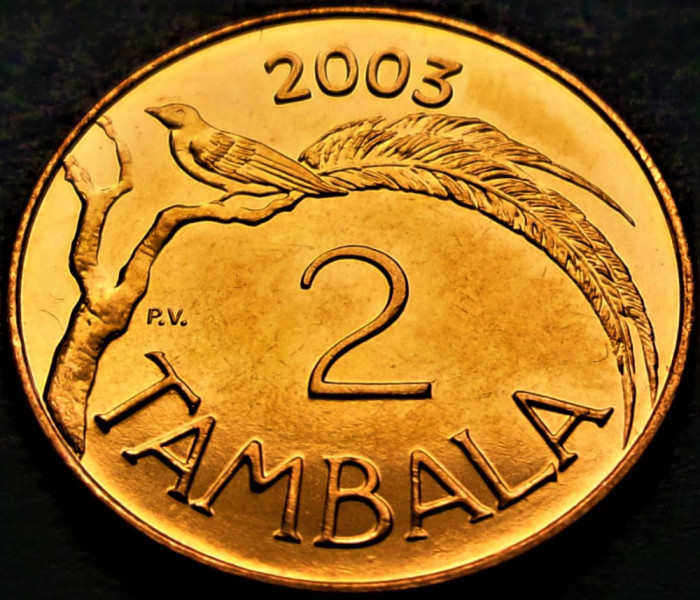 Moneda exotica 2 TAMBALA - Republica MALAWI, anul 2003 * cod 2851 B = UNC