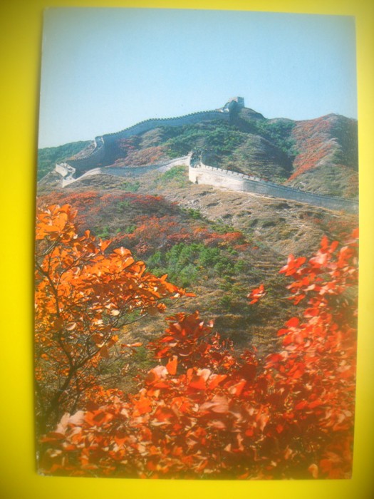 HOPCT 5801 FRUNZE ROSII LINGA MARELE ZID CHINEZESC -CHINA-ASIA-NECIRCULATA