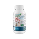 PUDRA ANTIPARAZITARA CU GERANIOL MAX BIOCIDE 100 G