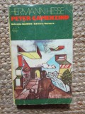 HERMANN HESSE - Peter Camenzind Herman 1975