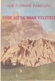 Ion Florian Panduru - Unde ajung doar vulturii
