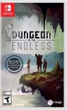 Dungeon Of The Endless NSW