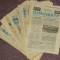 64 ziare Dimineata aparute intre lunile Aprilie-Septembrie 1990 (Mineriada)