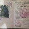 QW13 1 8 - 1952 - Diploma absolvire - Scoala medie tehnica - contabil