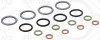 ELRING 066.450 Set garnituri etansare,injectoare