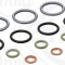 ELRING 066.450 Set garnituri etansare,injectoare