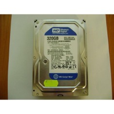 HARD-Disk SATA 3,5&quot; WESTERN DIGITAL 320GB