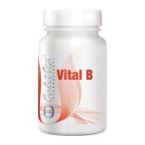 Vital B CaliVita 90tbl