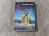 ERIN HUNTER - SUPRAVIETUITORII ~ Orasul pustiu ~ vol.1.