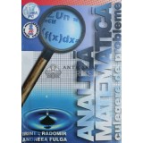 Analiza matematica. Culegere de probleme - 2000 - Andreea Fulga ($Y29)