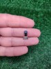 Microfon tableta samsung galaxy tab2 / L19, 8 GB, Wi-Fi