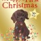 A Puppy&#039;s First Christmas