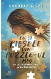 Eu si piesele din puzzle-ul meu. De la fragmentare la intregire - Andreea Lichi
