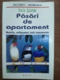 Pasari de apartament- Doris Quinten